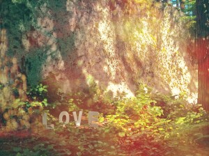 Sanctuary for a Restless Soul